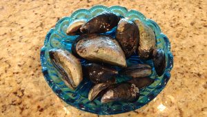 Fresh Mussels live from your Lagoon